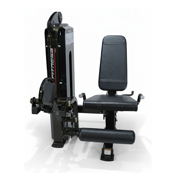 Leg Extension